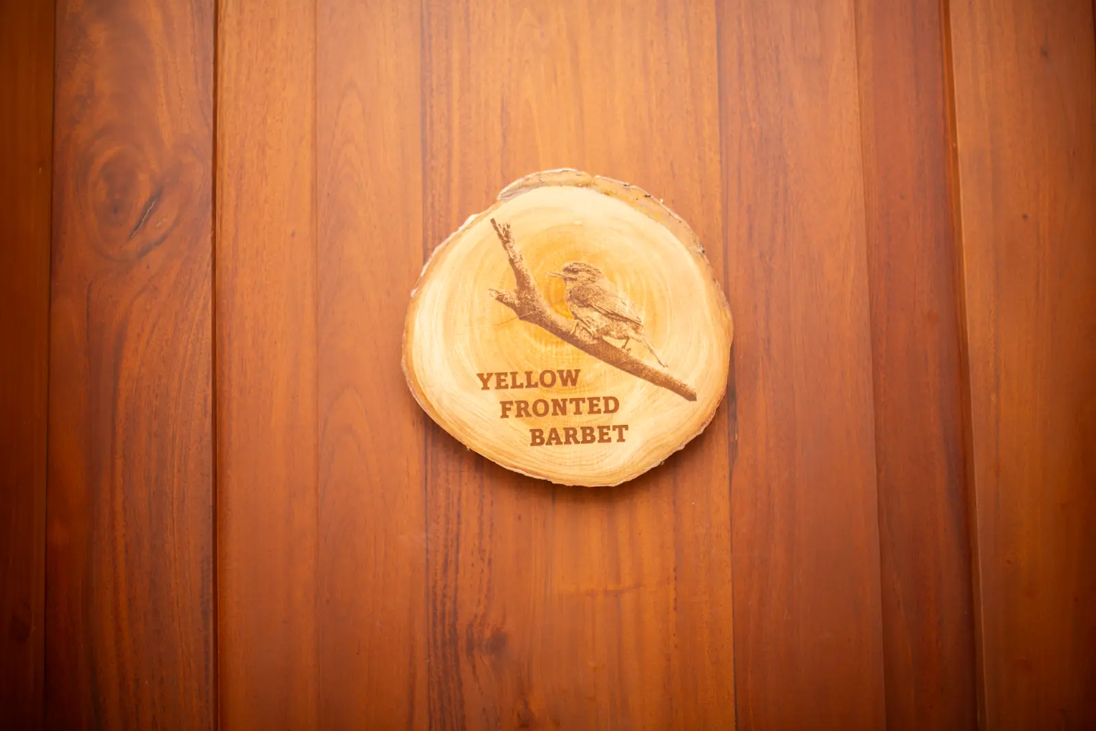 Wood-slice door sign engraved with a Yellow-fronted Barbet