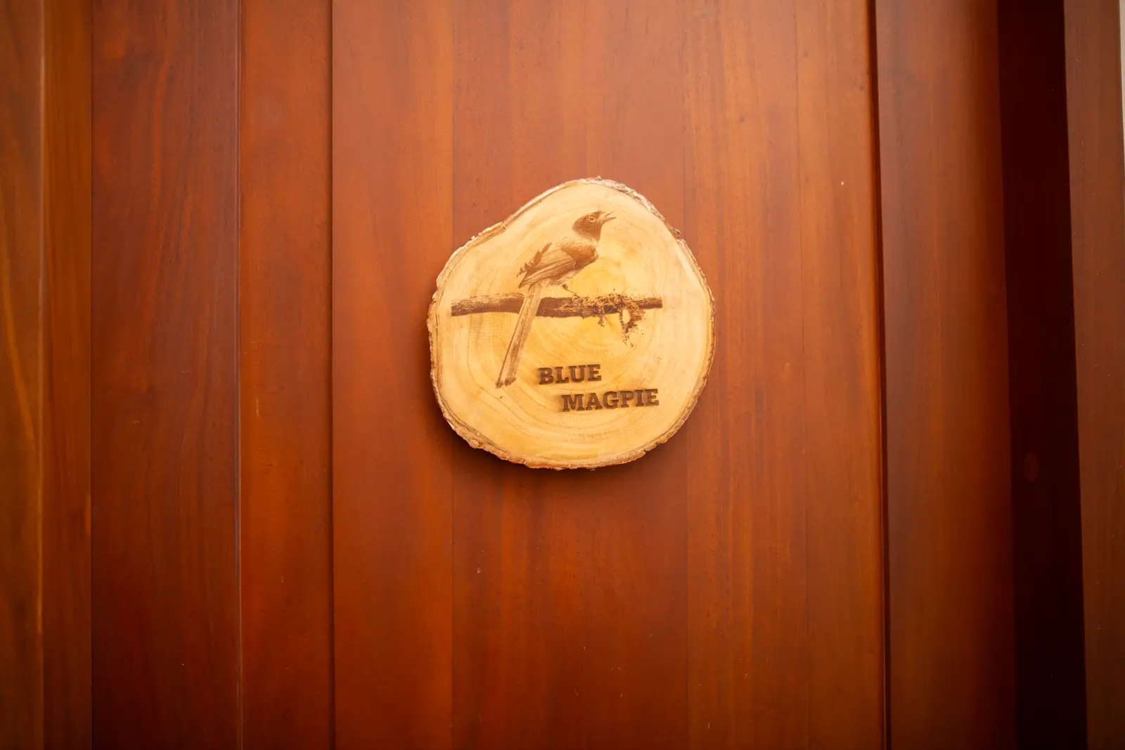 Wood-slice door sign engraved with a Blue Magpie