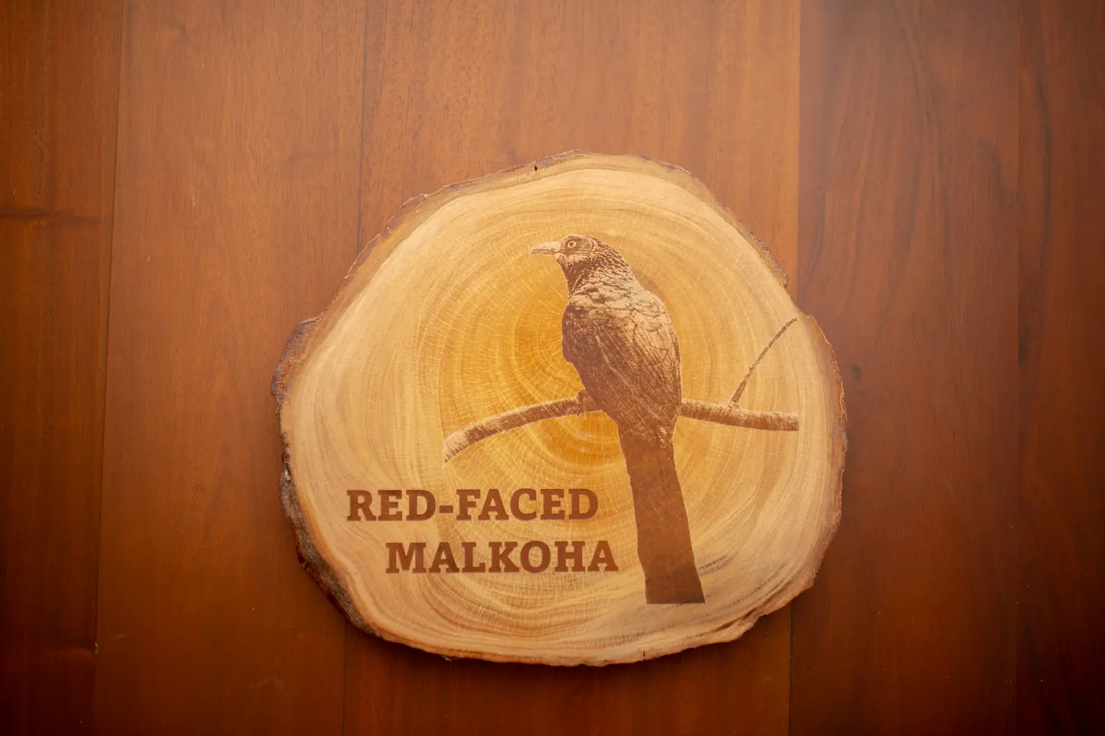 Wood-slice door sign engraved with a Red-faced Malkoha