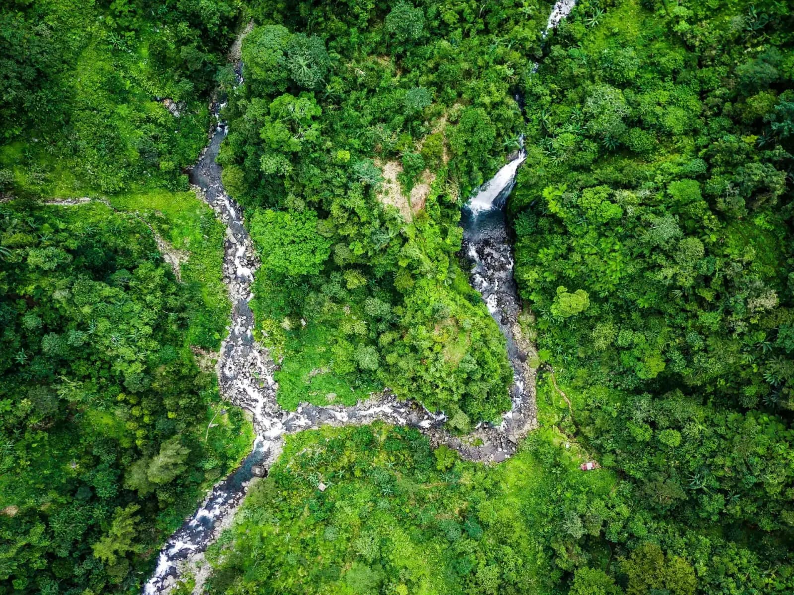 Aerial view of dense tropical rainforest with a river and waterfall