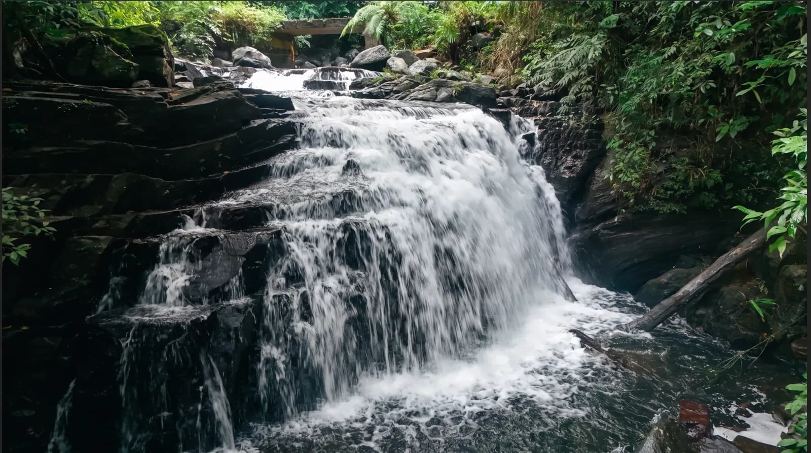 Cascading waterfall over dark rocks surrounded by lush rainforest